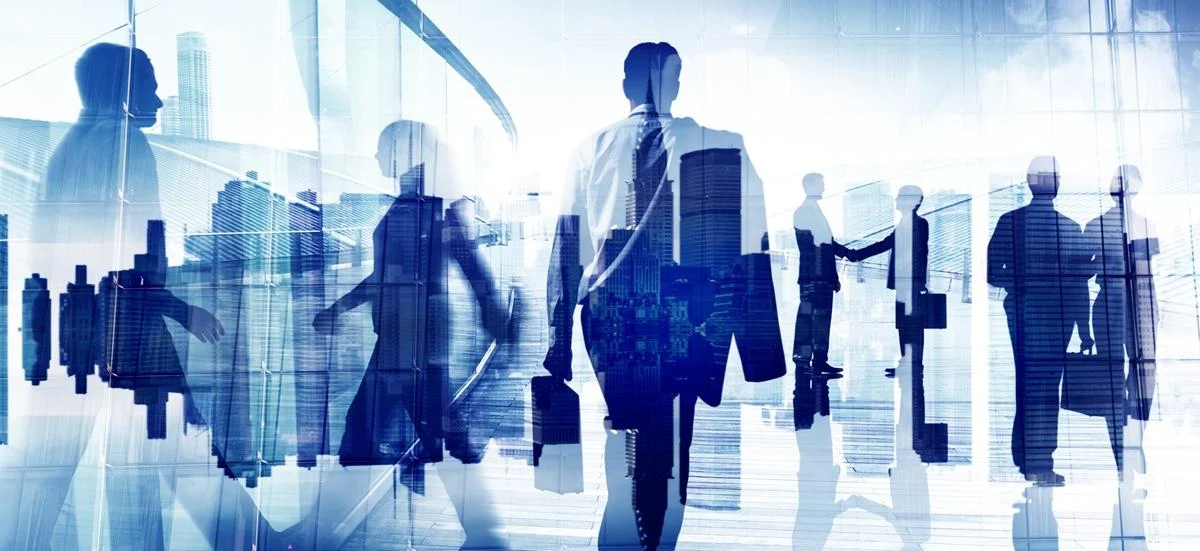 Establish a Subsidiary in the Netherlands