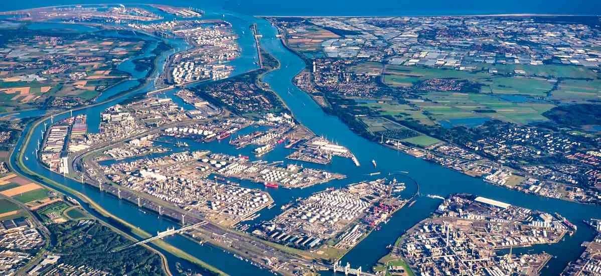 Market Entry Services/ Support in the Netherlands